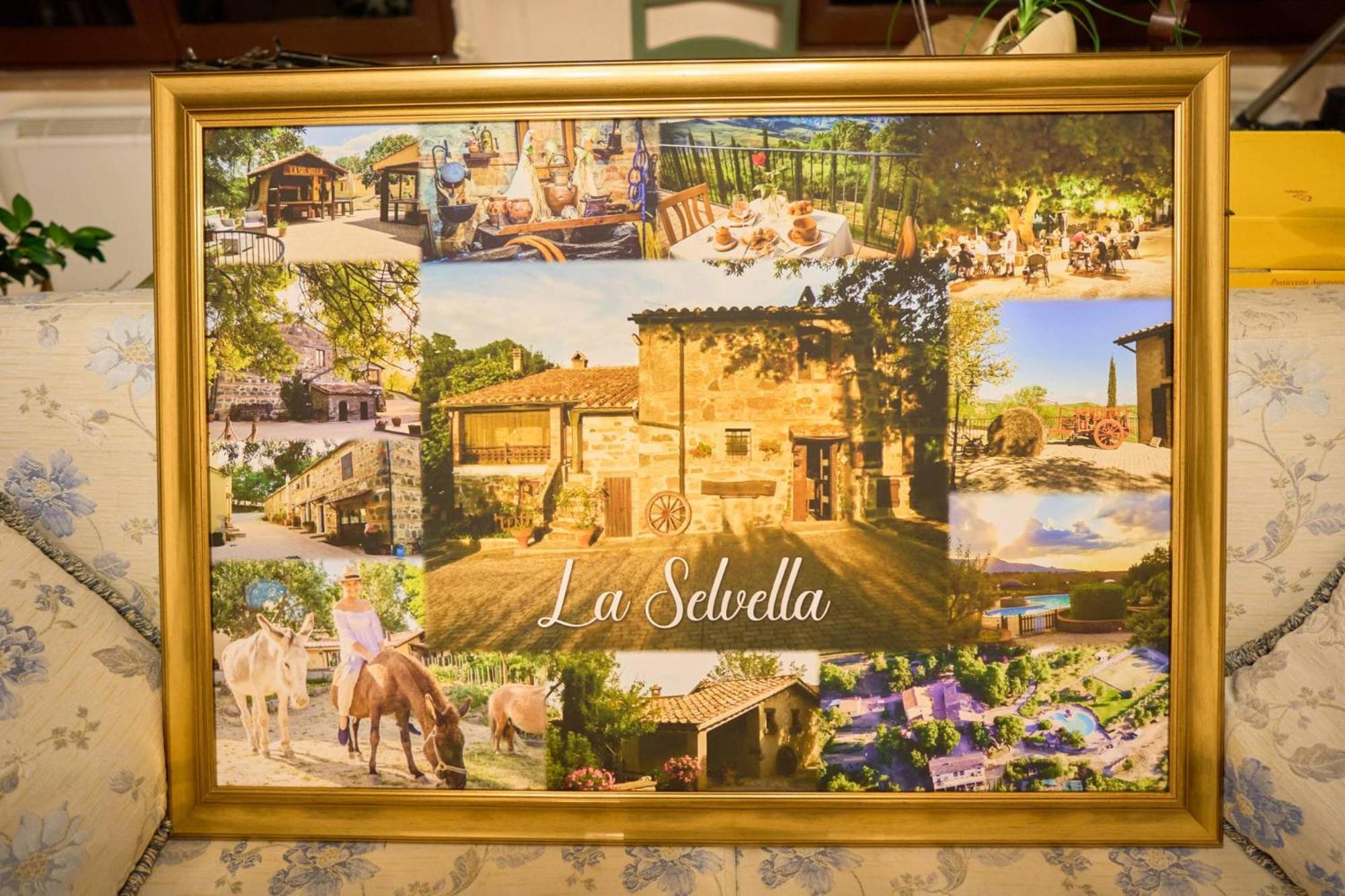 Agriturismo Selvella Радикофани Екстериор снимка