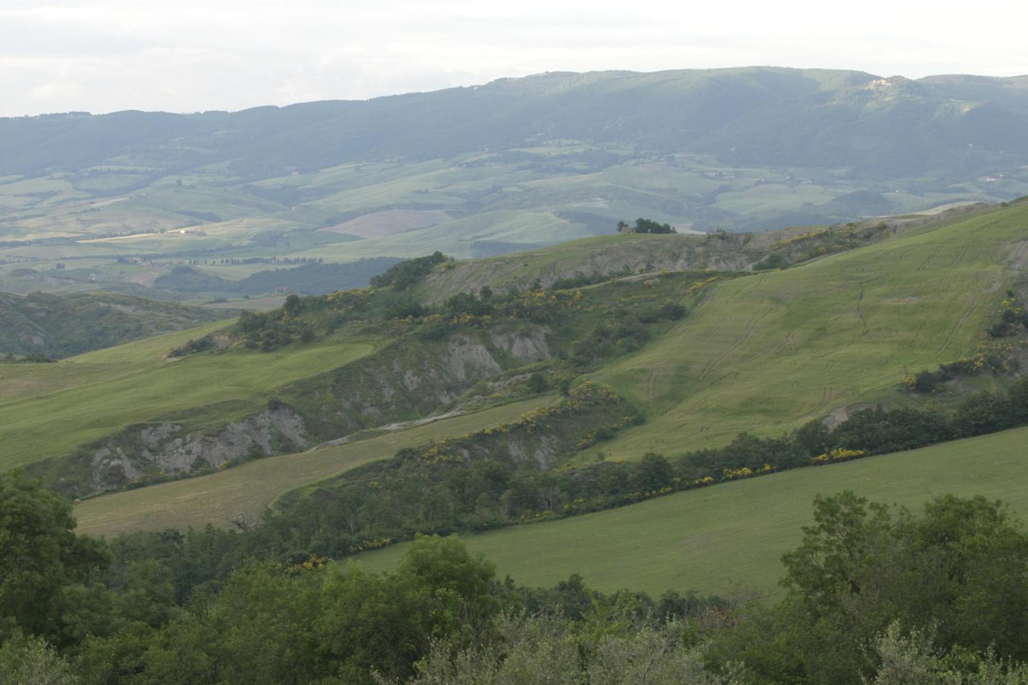 Agriturismo Selvella Радикофани Екстериор снимка