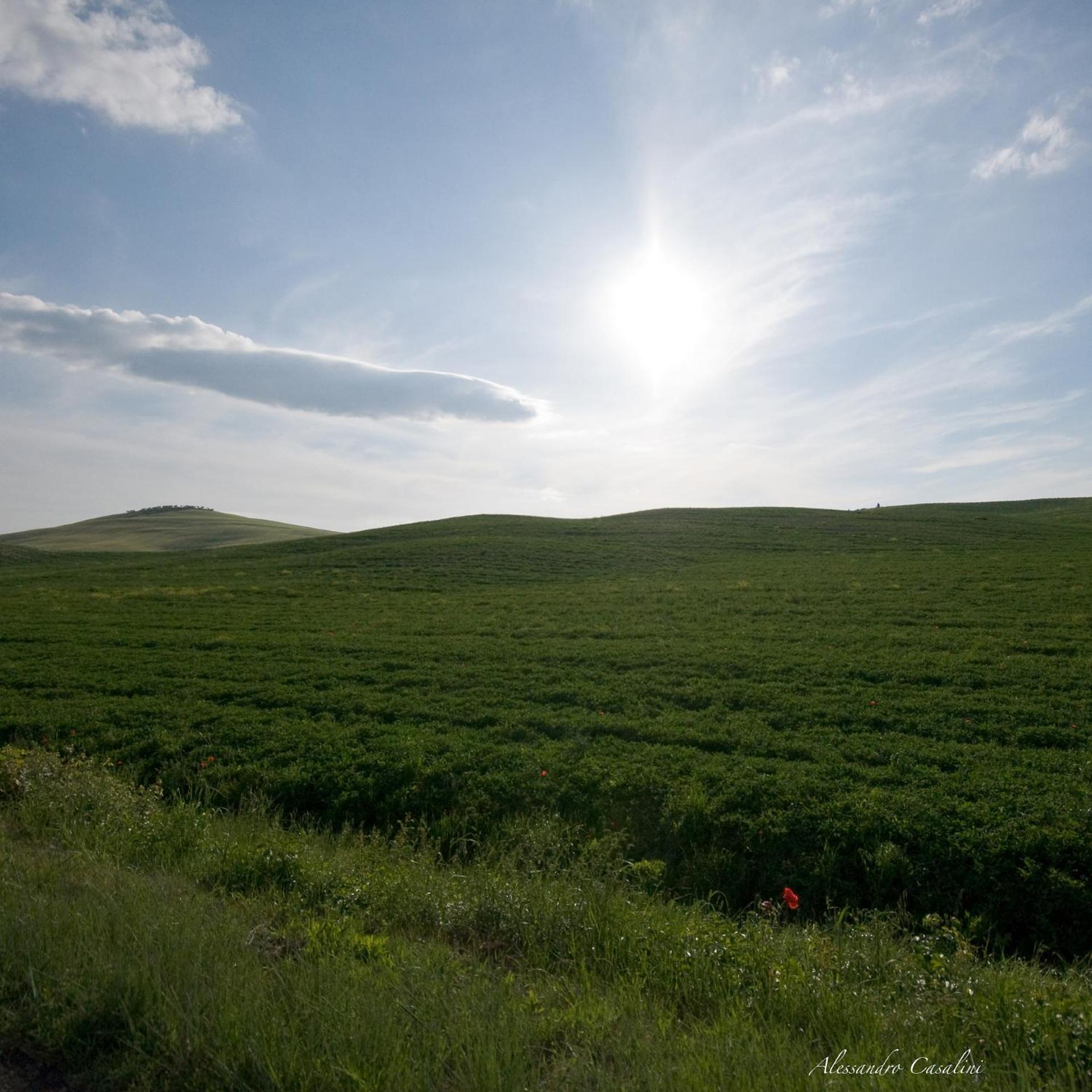 Agriturismo Selvella Радикофани Екстериор снимка