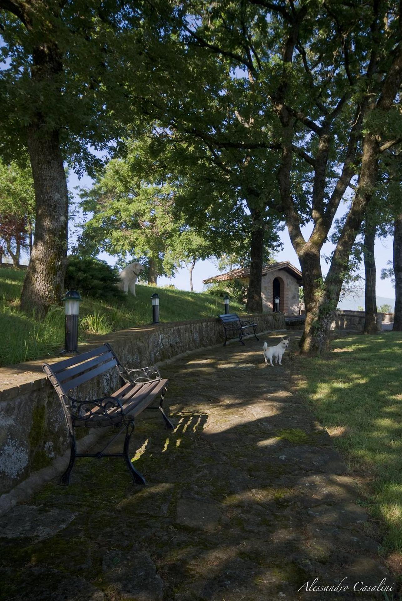 Agriturismo Selvella Радикофани Екстериор снимка